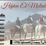 Naranjos * Alcaucín